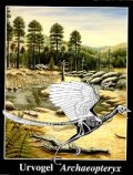 Freunde der Bay. Staatsammlung für Pal. und hist. Geologie - Urvogel Archaeopteryx